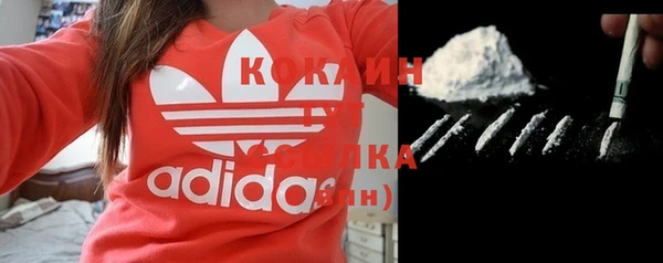 стаф Богородицк