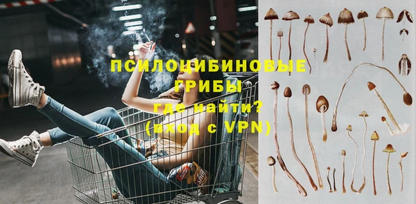 дурь Бронницы