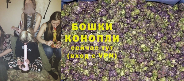 дурь Бронницы