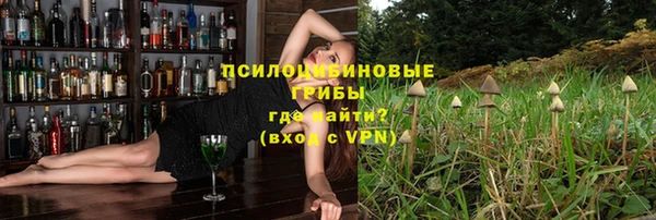 стаф Богородицк