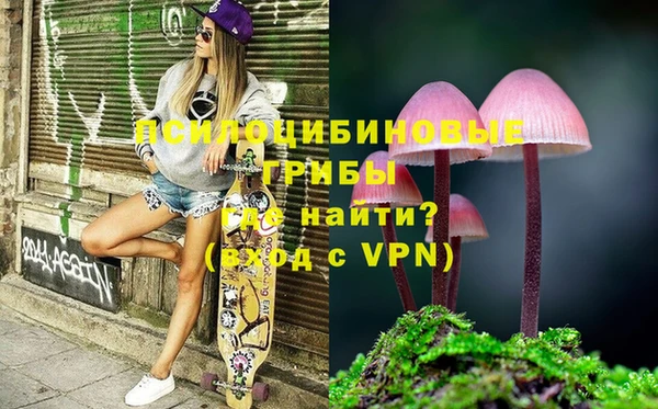 не бодяженный Бородино