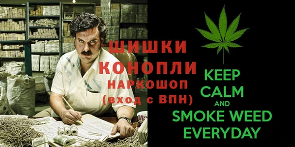 дурь Бронницы