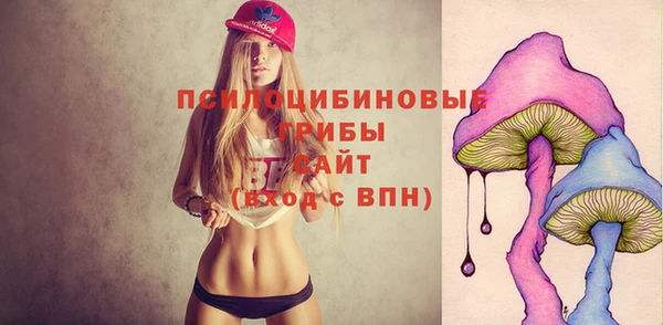 не бодяженный Бородино