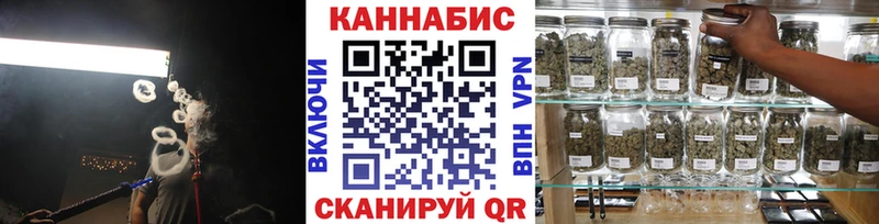 закладка  Верхняя Пышма  Конопля Bruce Banner 